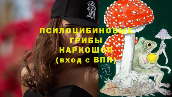 PSILOCYBIN Бронницы