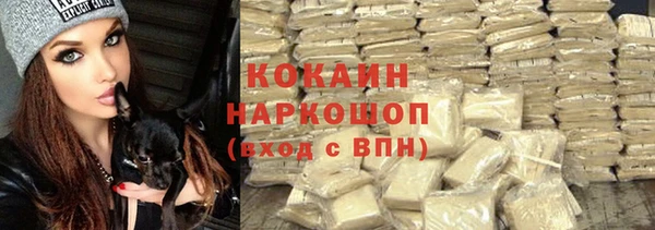 PSILOCYBIN Бронницы