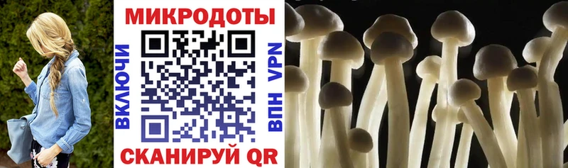 Галлюциногенные грибы GOLDEN TEACHER  Воскресенск 